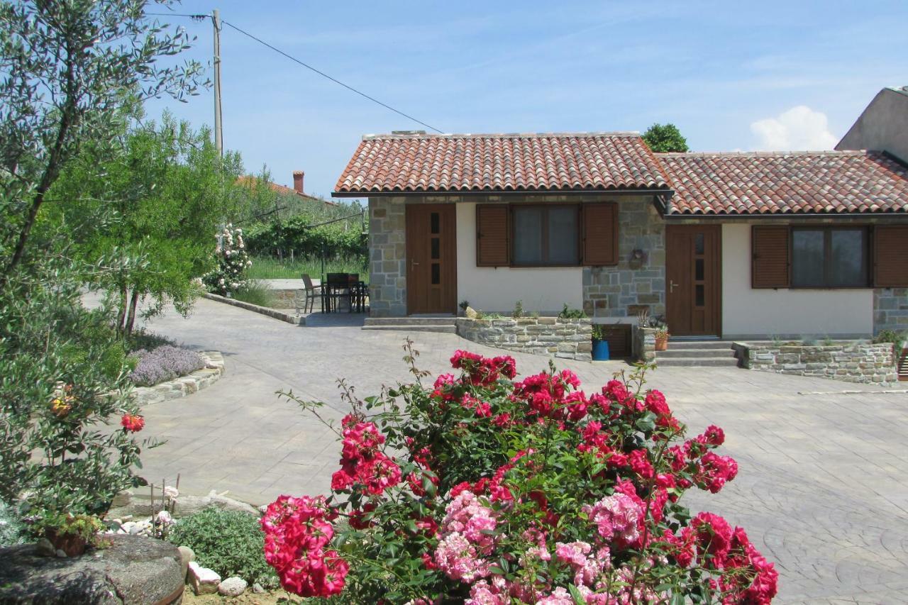 Holiday House Ida Marezige Dış mekan fotoğraf
