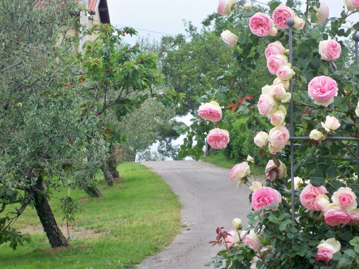 Holiday House Ida Marezige Dış mekan fotoğraf